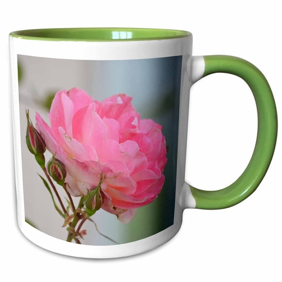 3drose, Romantic Garden Pink Rose and Buds - Flowers - Floral Print, 11oz Two-tone Green Mug