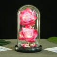 thumbnail image 1 of Romantic Glass Rose Dome with Wood Base, Artificial Flower Display Dome for Wedding Centerpiece, Valentine's Day Gift, Home Decor, Glass Cloche with LED Lights, 4.33x8.46 Inch, 1 of 3