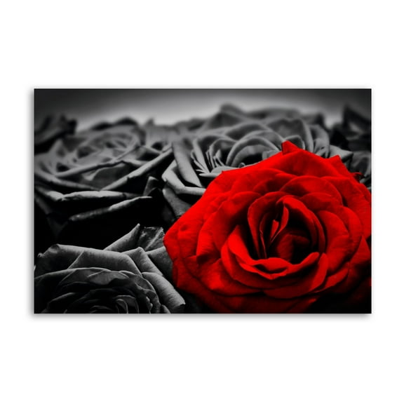 Romantic Red Rose on Black Poster Cool Artworks Painting Wall Art Canvas Prints Hanging Picture Home Decor Posters Gift 12x18inch(30x45cm)