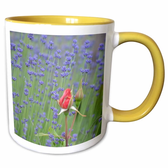 3drose, Romantic Roses and Lavendar Flowers - Fields of Flowers, 11oz Two-tone Yellow Mug