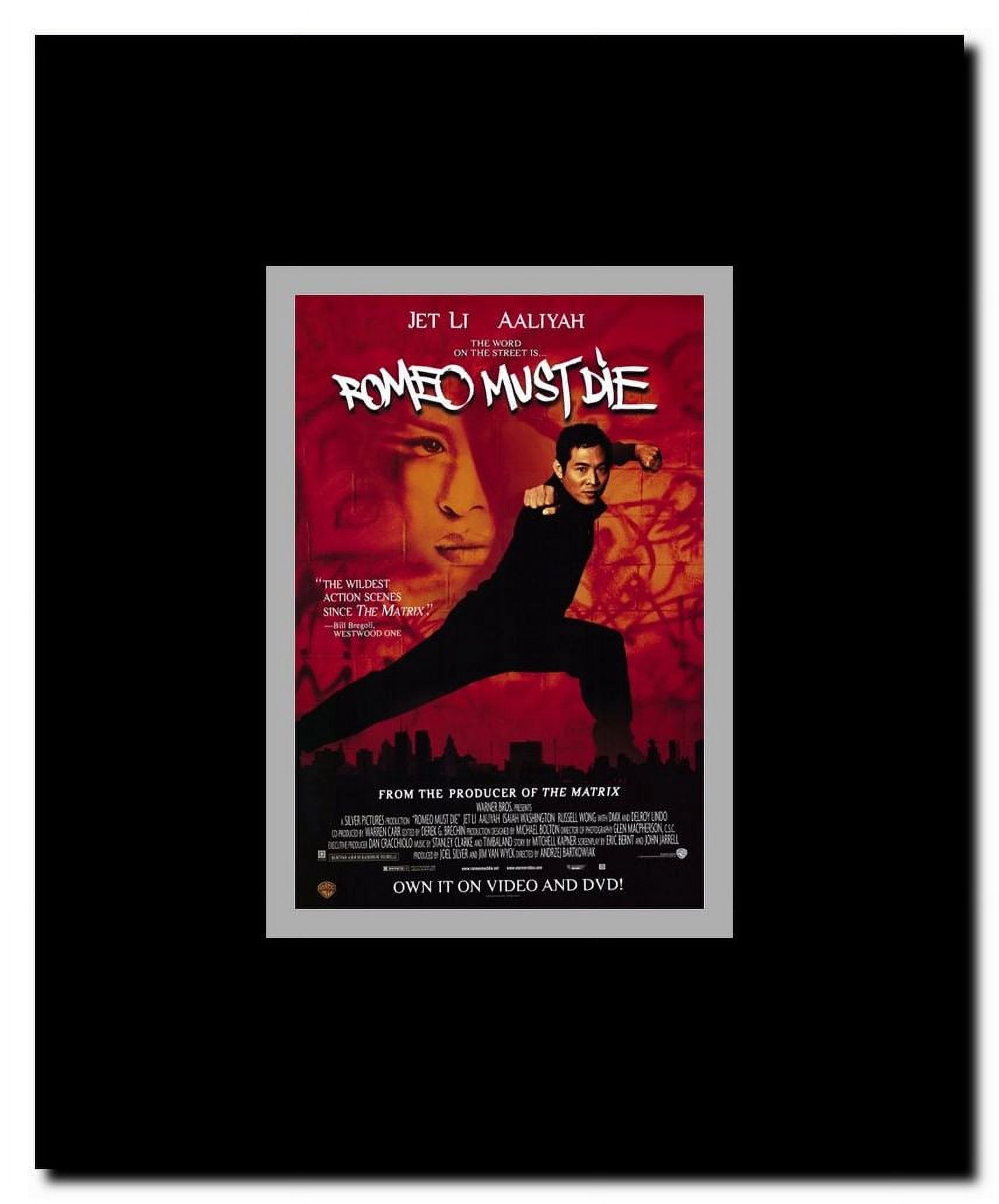 Romeo Must Die Framed Movie Poster