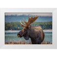 thumbnail image 1 of Romero Salamanca, Juan 18x13 White Modern Wood Framed Museum Art Print Titled - Moose, 1 of 4
