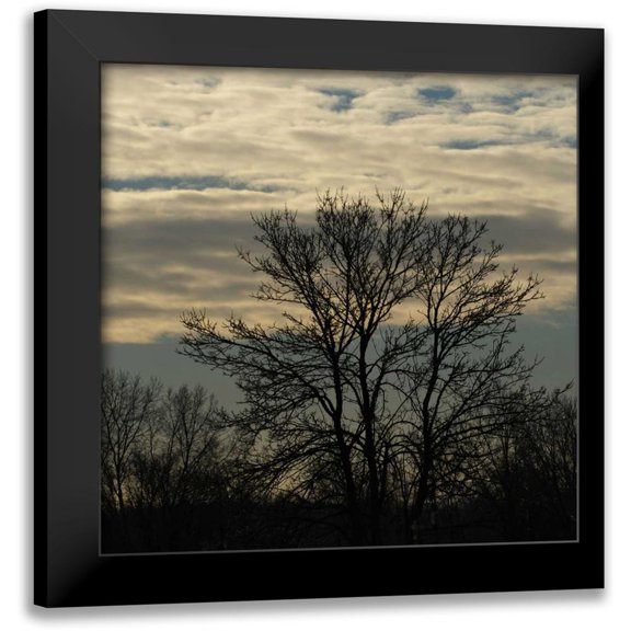 Romita, Denise 12x12 Black Modern Framed Museum Art Print Titled - Morning Silhouette