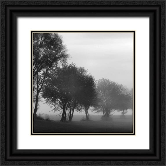Romita, Denise 15x15 Black Ornate Wood Framed with Double Matting Museum Art Print Titled - Fog Through the Trees I