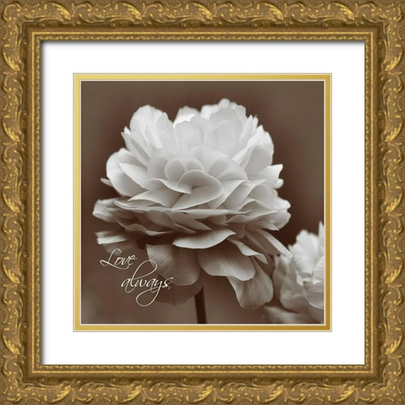 Romita, Denise 15x15 Gold Ornate Wood Framed with Double Matting Museum Art Print Titled - Sepia Blossoms II