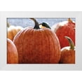 thumbnail image 1 of Romita, Denise 18x13 White Modern Wood Framed Museum Art Print Titled - Fall Pumpkin, 1 of 4