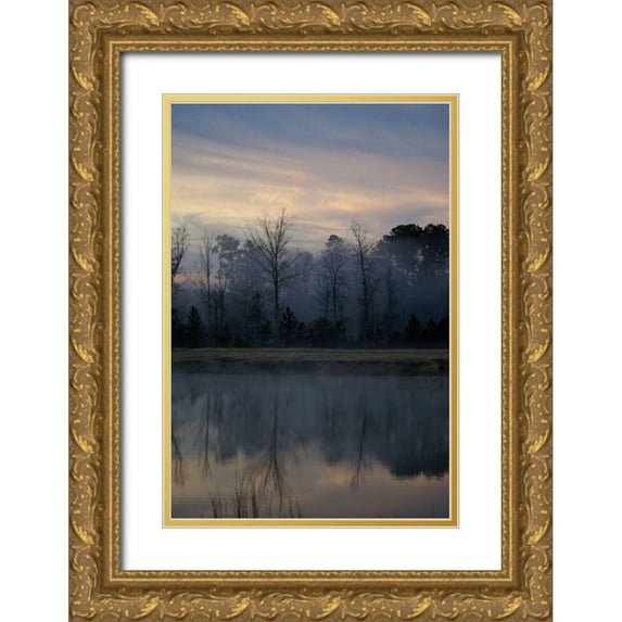 Romita, Denise 23x32 Gold Ornate Wood Framed with Double Matting Museum Art Print Titled - Misty Morning
