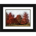 thumbnail image 1 of Romita, Denise 32x23 Black Ornate Wood Framed with Double Matting Museum Art Print Titled - Fall Reds, 1 of 4