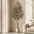 thumbnail image 1 of ROMSWI 7FT Artificial Tree Tall with Pot, Olive Faux Plant with Lifelike Fruits and Natural Wood Trunk for Indoor Home House Office Decor, 1 of 10