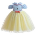 thumbnail image 1 of Rongking Princess Snow Costume Dress for Girls Halloween Fancy Dress for 2-7Y, 1 of 8