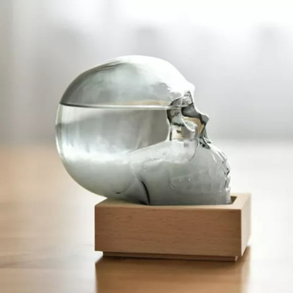 Rongxk Shape Storm Glass Weather Bottle Predicting Barometer 30ml