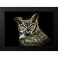 thumbnail image 1 of Ronin 14x11 Black Modern Framed Museum Art Print Titled - Wisdom Owl, 1 of 4