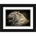thumbnail image 1 of Ronin 14x11 Black Ornate Wood Framed with Double Matting Museum Art Print Titled - The Lygar, 1 of 4
