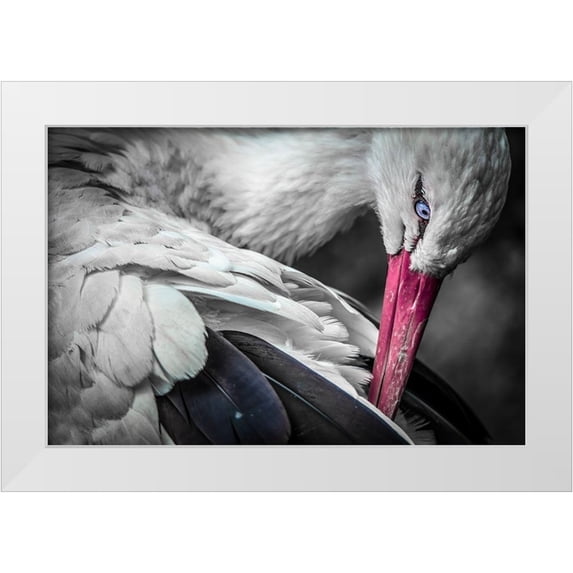 Ronin 14x11 White Modern Wood Framed Museum Art Print Titled - The Stork