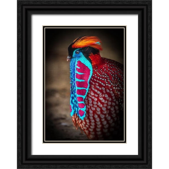 Ronin 14x18 Black Ornate Wood Framed with Double Matting Museum Art Print Titled - Tropical Bird