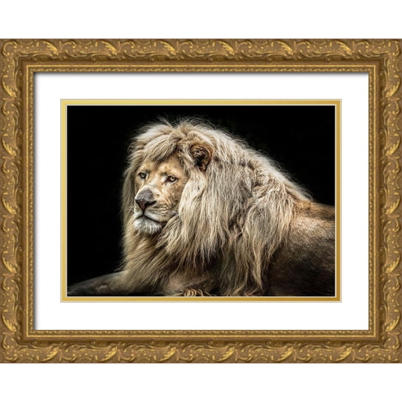 Ronin 18x14 Gold Ornate Wood Framed with Double Matting Museum Art Print Titled - The white Lion