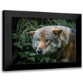 thumbnail image 1 of Ronin 18x15 Black Modern Framed Museum Art Print Titled - Lone Wolf, 1 of 5