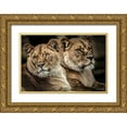 thumbnail image 1 of Ronin 24x17 Gold Ornate Wood Framed with Double Matting Museum Art Print Titled - Lionesses, 1 of 4