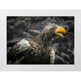 thumbnail image 1 of Ronin 24x18 White Modern Wood Framed Museum Art Print Titled - Stellar Eagle, 1 of 4