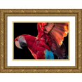 thumbnail image 1 of Ronin 32x23 Gold Ornate Wood Framed with Double Matting Museum Art Print Titled - Parrot Wings, 1 of 4