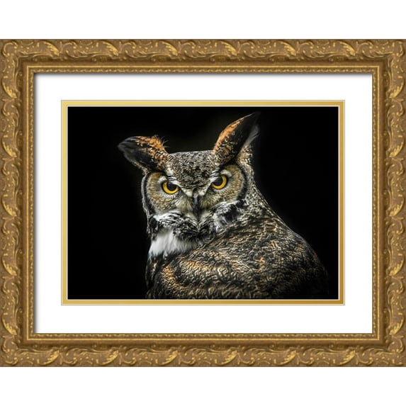 Ronin 32x24 Gold Ornate Wood Framed with Double Matting Museum Art Print Titled - Wisdom Owl
