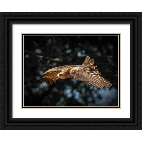 Ronin 32x25 Black Ornate Wood Framed with Double Matting Museum Art Print Titled - Red Kite flies