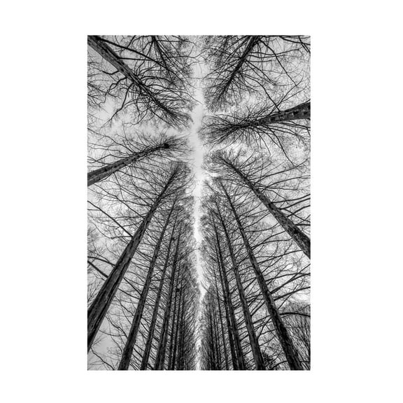 Ronni Santoso 'The Road' Canvas Art