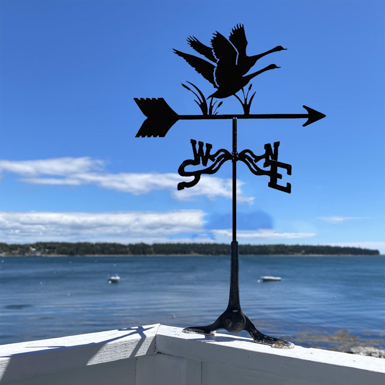 Roof Mount Weathervane Swan Silhouette Stainless Steel Wind Direction