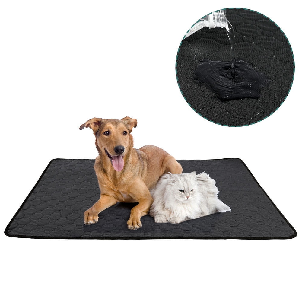 Waterproof Dog Food Mat Non-Slip - Pack of 2 Dog Bowl Mat Absorbent Pet  Feeding Mats Washable Pee Pads for Puppies Cats, Solid Grey 35.4 X 23.6
