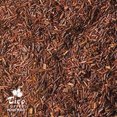 thumbnail image 1 of Rooibos Tea, 1 of 2