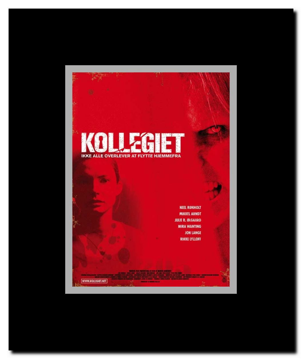 Room 205 Framed Movie Poster