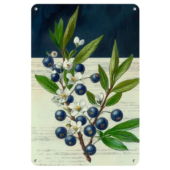 Room Decor 1pc Vintage Blueberry Metal Tin Sign, Rustic Floral and Fruit Art Poster with Green Leaves, Farmhouse Wall Decor for Bar, Restaurant, Bedroom, Club, Restaurant Wall Art | Script Background