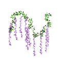thumbnail image 1 of Room Decor, Wisteria Flower Vines Garland 6.56 Ft Artificial Flower Strings Fake Hanging Flowers Silk Wisteria Garland Flowers Flower Vines for Wedding Garden Decor, Men Gifts, 1 of 5