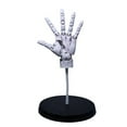 Room Decorsuper Movable 11 Hand Model Finger Joint Finger Joint