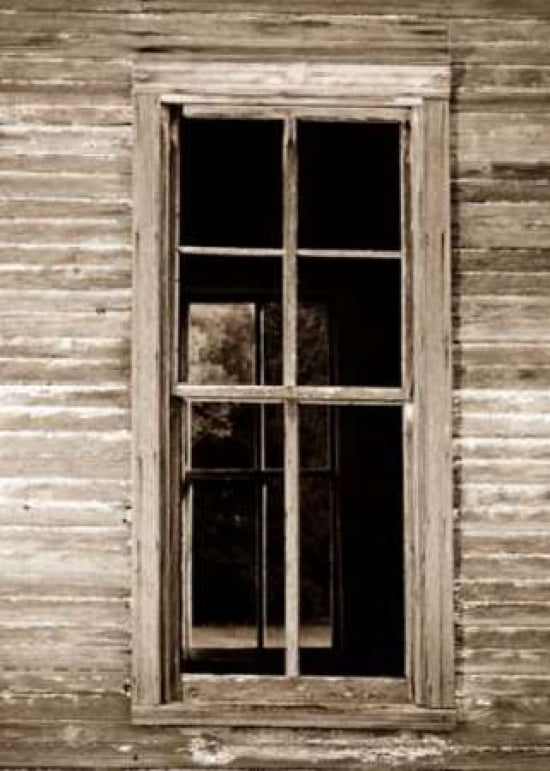 Room with a View Canvas Art - Sonja Revells (20 x 28)