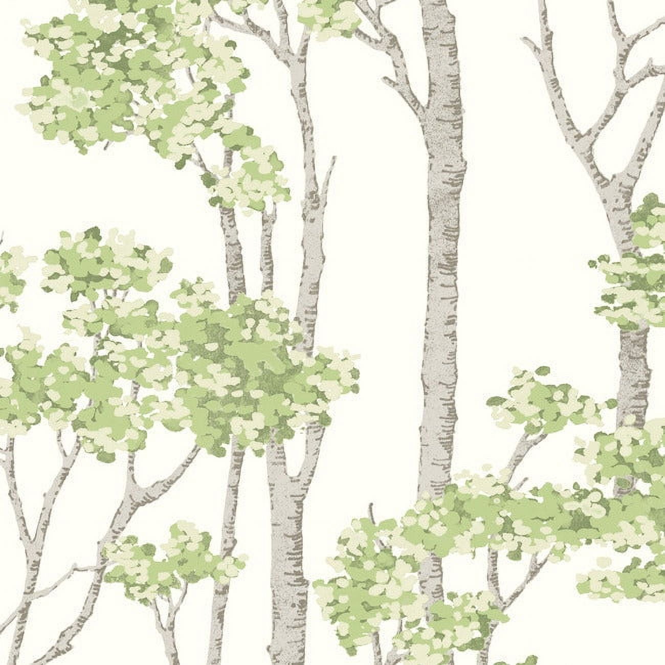 RoomMates Green, Birch Grove Peel & Stick Wallpaper