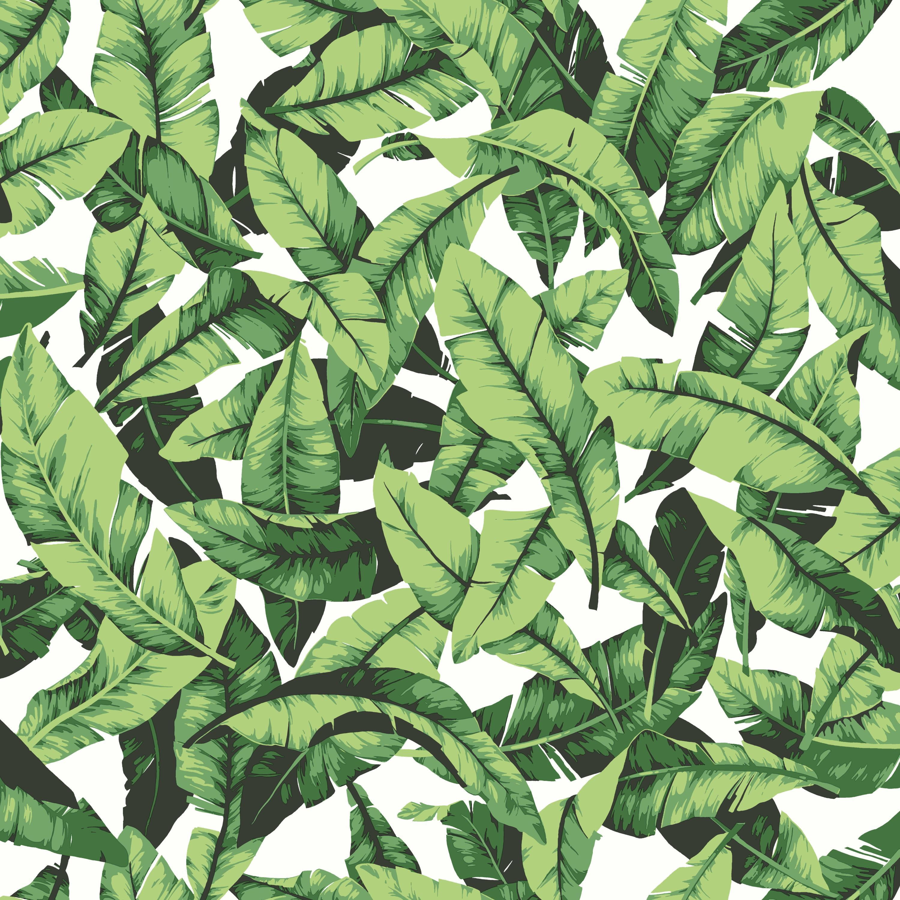 Green Tropical Palm Leaf Vinyl Peel and Stick Wall Decal