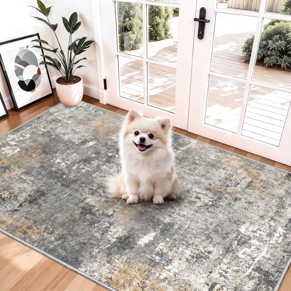 Roomisland Washable 3x4ft Entryway Rug Indoor, Non Slip Small Area Rug for Kitchen Bathroom Door Mat, Low Pile Floor Carpet with Rubber Backing, Vintage Farmhouse Decor, Easy Clean