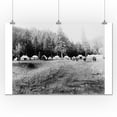 thumbnail image 1 of Roosevelt Camp at Yellowstone National Park Photograph (24x36 Giclee Gallery Print, Wall Decor Travel Poster), 1 of 1