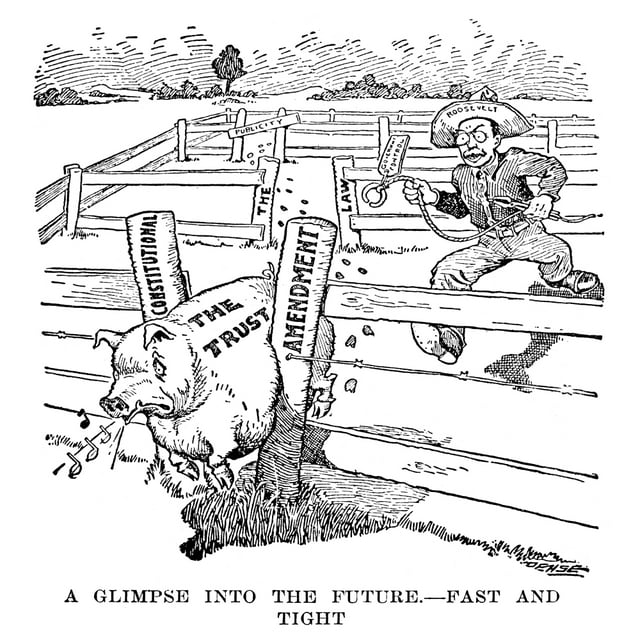 Roosevelt Cartoon C1906. Ncartoon C1906 From The St. Paul 'Pioneer