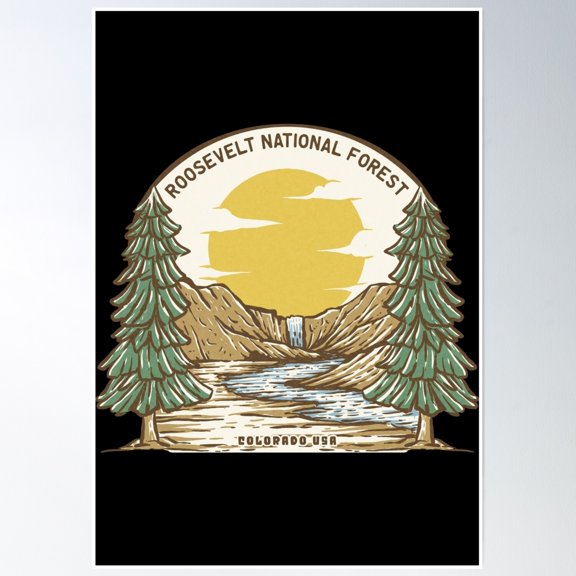 Roosevelt National Forest Waterfall Poster Wall Art, Modern Wall Decor, 8x12 UNFRAMED