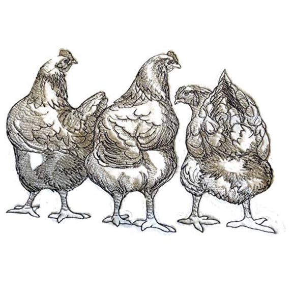 Rooster [3 Chicken Butts] Embroidered Iron on/Sew Patch [9.16" x 6.85"]