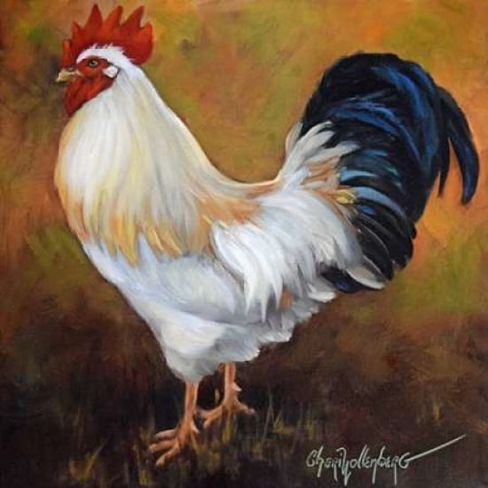 Rooster Canvas Art - Cheri Wollenberg (24 x 24)