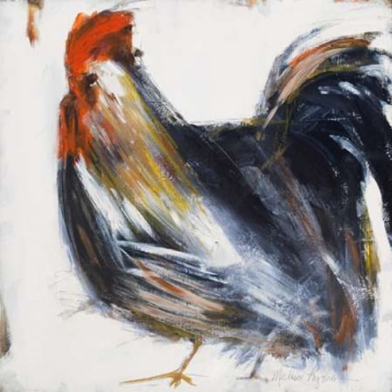 Rooster Canvas Art - Melissa Lyons (24 x 24)