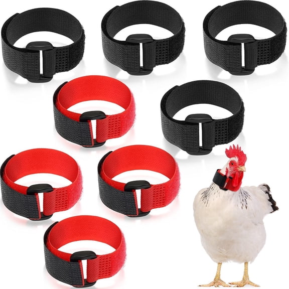 Rooster Collars, 8 pack Adjustable Anti-Noise Neck Belt for Chickens and Poultry Birds, Humane Crow Collar to Prevent Screaming, Chicken Collar Harness Set