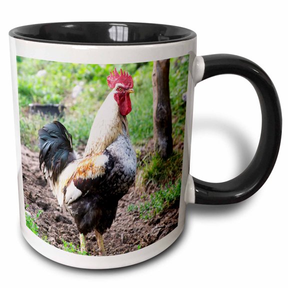 3drose, Rooster, Farm Animal, Dupilo, Montenegro - Eu47 Pka0045 - Per Karlsson, 11oz Two-tone Black Mug