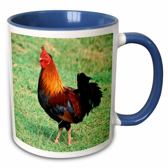3drose, Rooster, Farm Animal - Na02 Dfr0048 - David R. Frazier, 11oz Two-tone Blue Mug