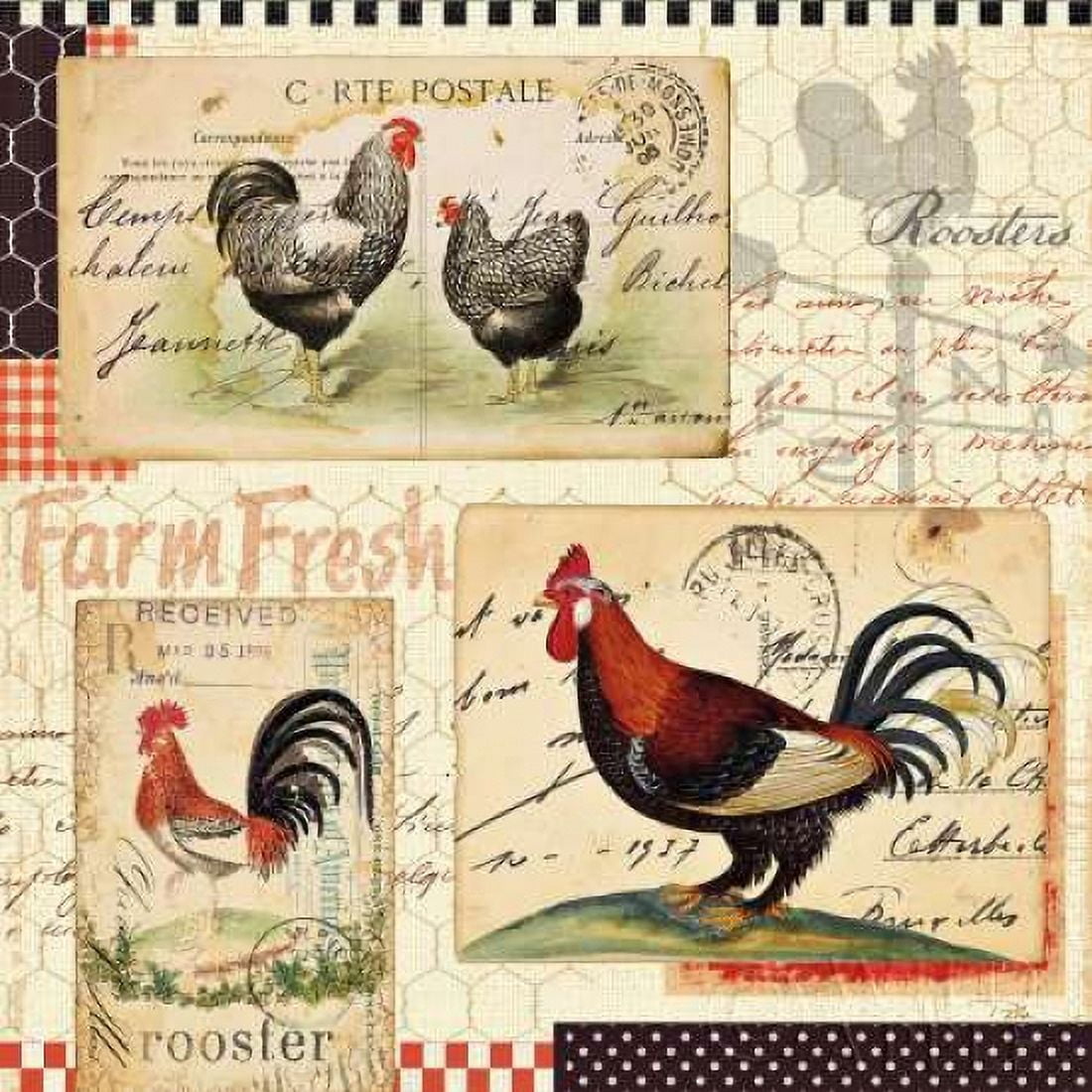 Rooster Farm II Canvas Art - Alain Pelletier (24 x 24)