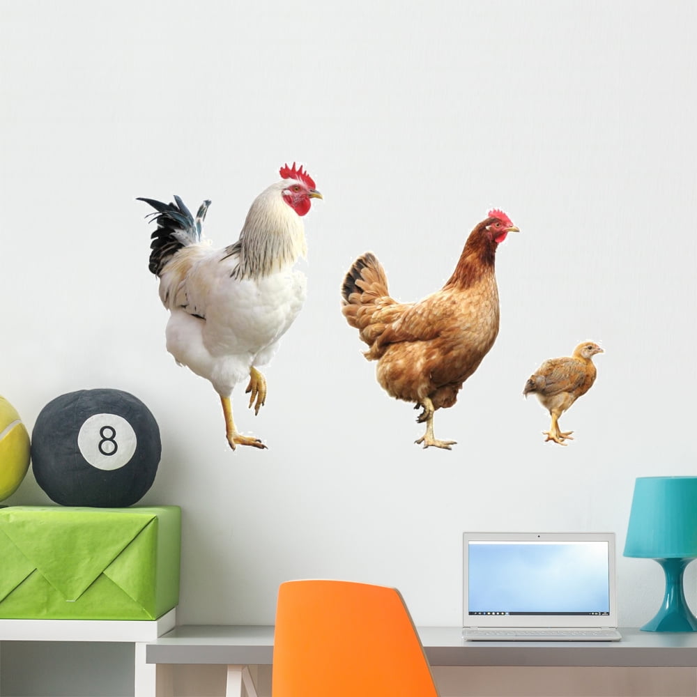 Rooster Hen and Chicken Wall Decal by Wallmonkeys Peel and Stick ...