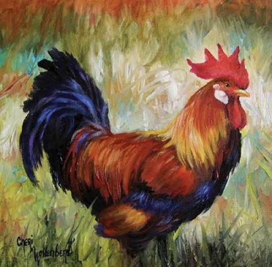 Rooster I Canvas Art - Cheri Wollenberg (24 x 24)